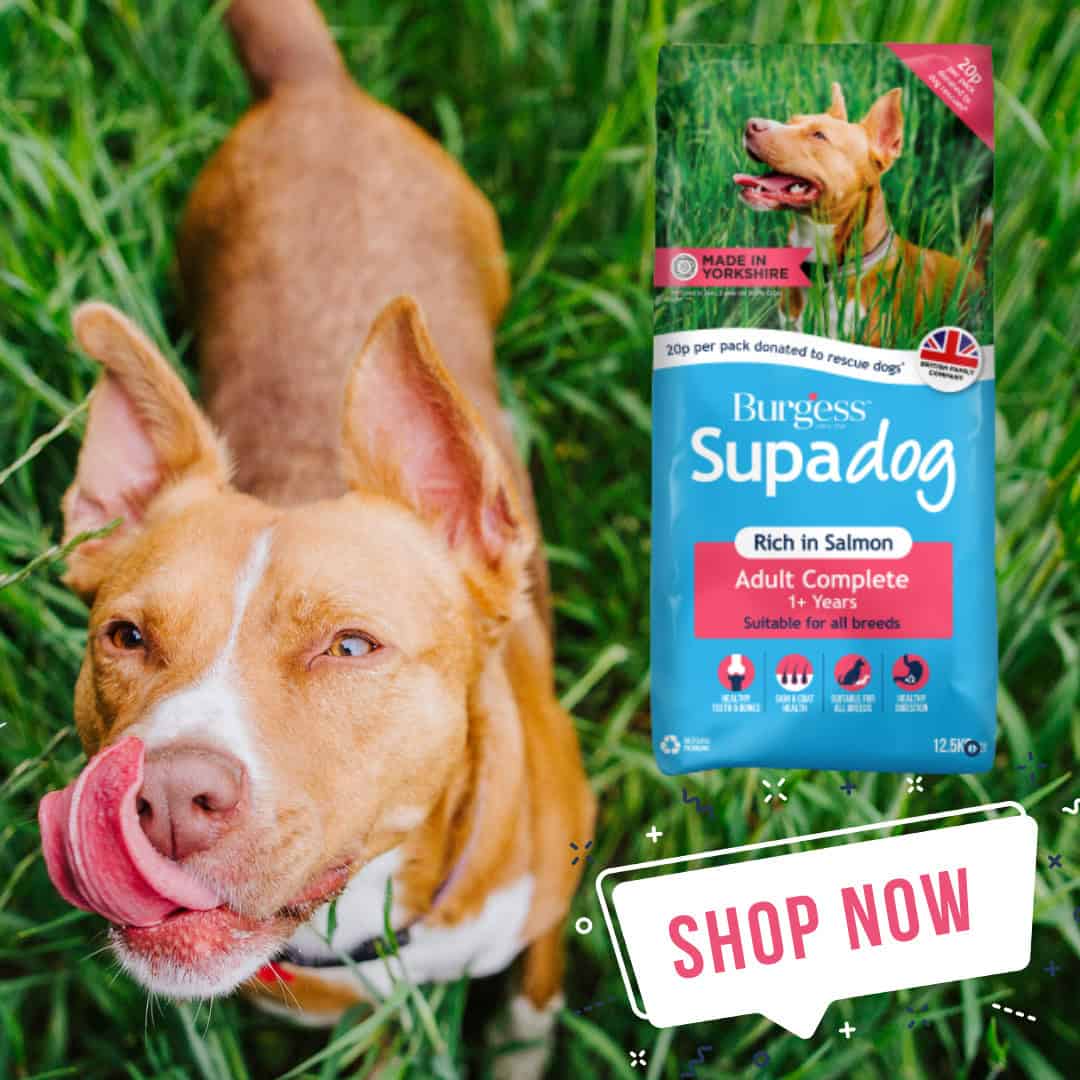 campaign yorkshire takeover (2)