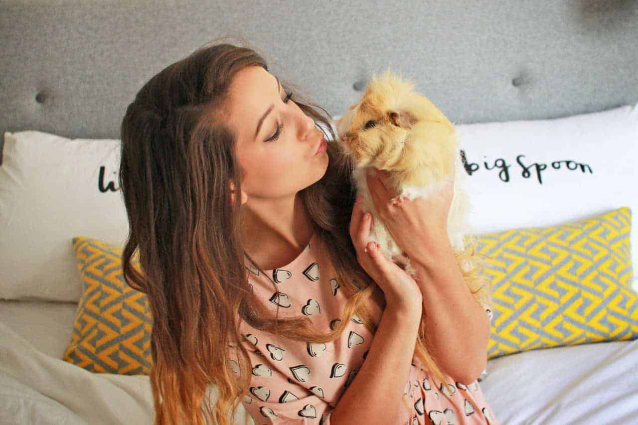 Featured image for Excel Guinea Pig Nuggets Feature in Zoella’s Christmas Videos