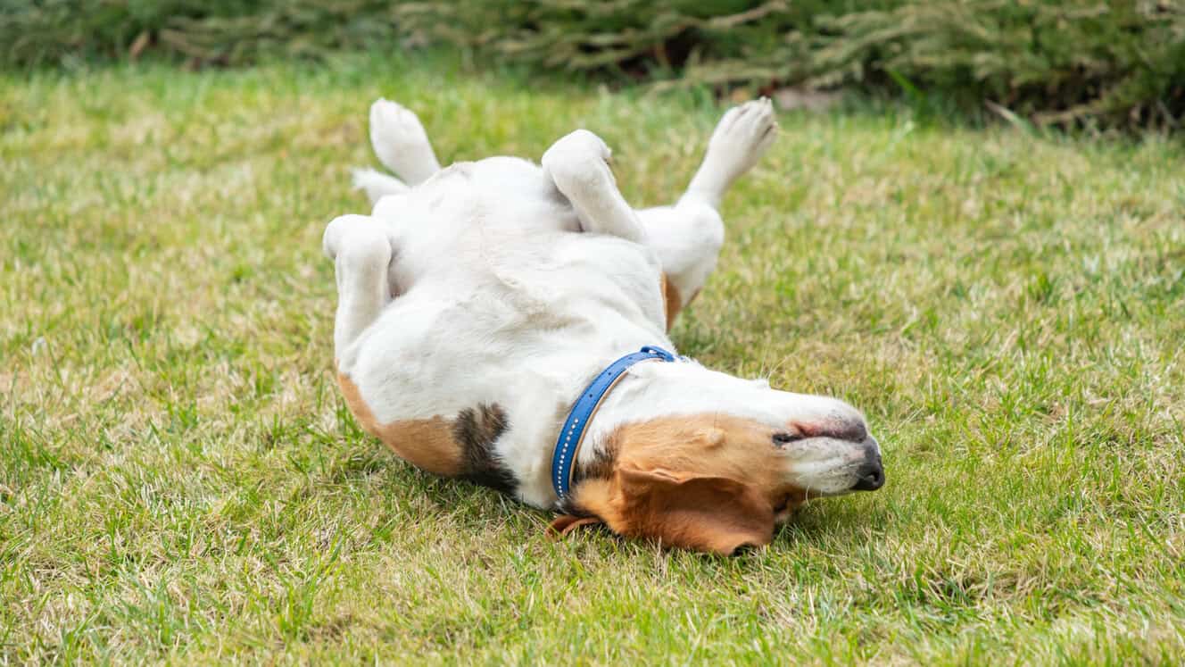 Featured image for Tick it off your list!