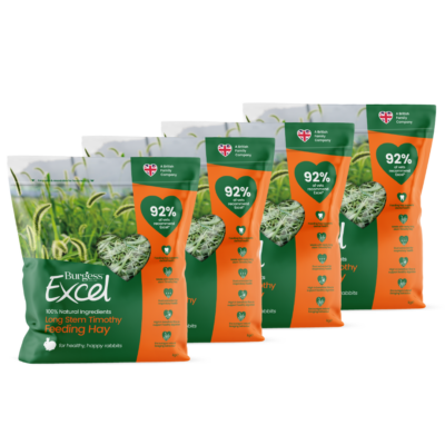 Product image for 4kg Long Stem Hay Bundle