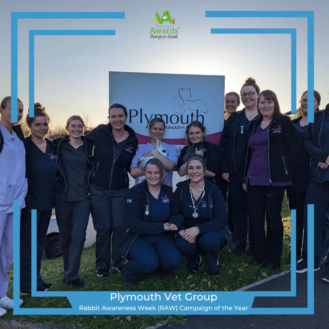 5. plymouth vet group rabbit awareness week (raw) campaign of the year