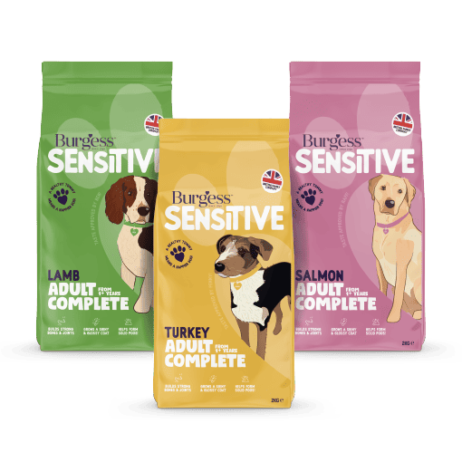 2kg Sensitive Bundle product image