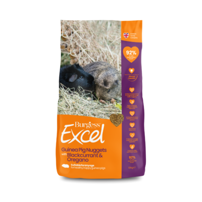 Product image for Excel Guinea Pig Nuggets with Blackcurrant & Oregano