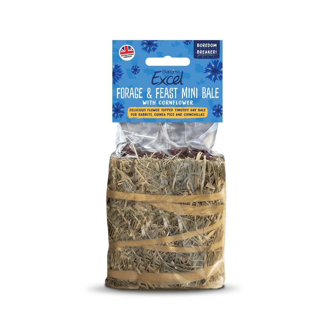 Excel Forage & Feast Mini Bale with Cornflower product image