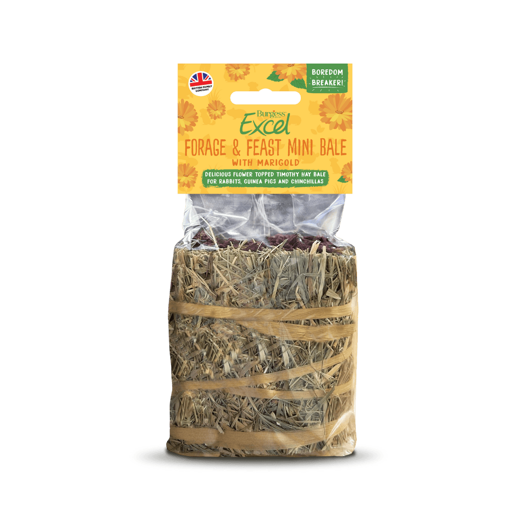 Excel Treats Selection Box – LIMITED EDITION product image