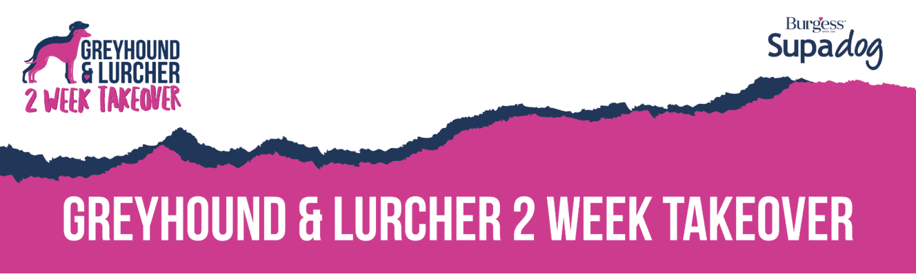 gl 2 week takeover v2