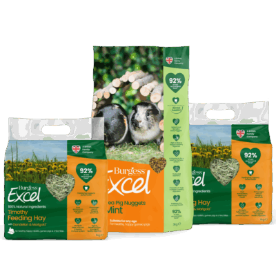 Product image for Excel Guinea Pig Nugget with Mint and Hay Bundle
