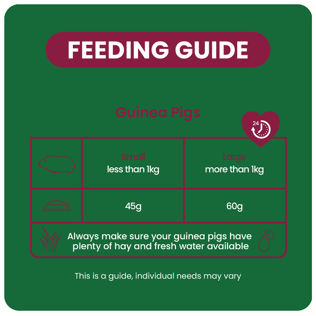 Excel Indoor Guinea Pig Nugget and Dandelion & Marigold Hay Bundle product image