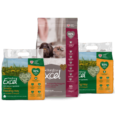 Product image for Excel Indoor Guinea Pig Nugget and Dandelion & Marigold Hay Bundle
