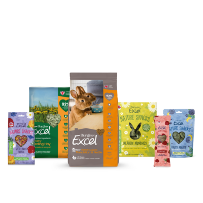 Product image for Indoor Rabbit Bundle