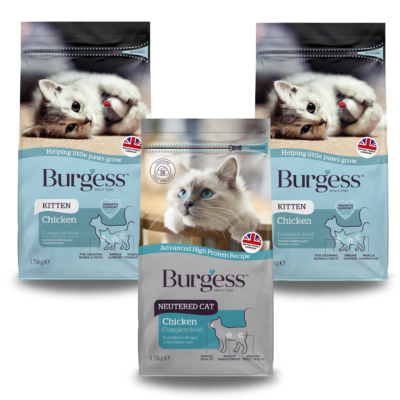 Product image for Kitten Bundle