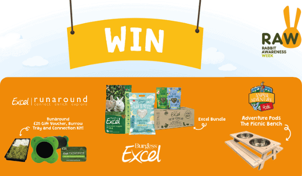 pets4homes newshound header