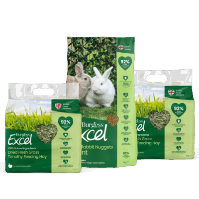 Product image for Excel Rabbit Nugget with Mint and Dried Fresh Grass Bundle