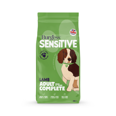 Product image for Sensitive Adult Dog Lamb