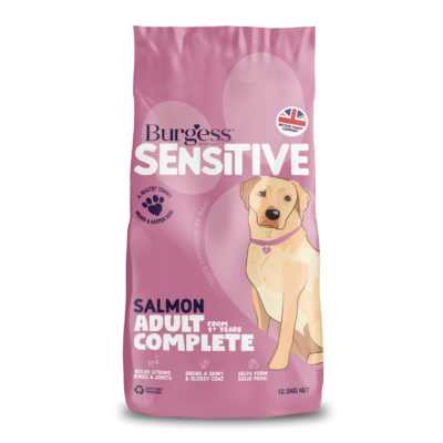 Product image for Sensitive Adult Dog Salmon 2kg
