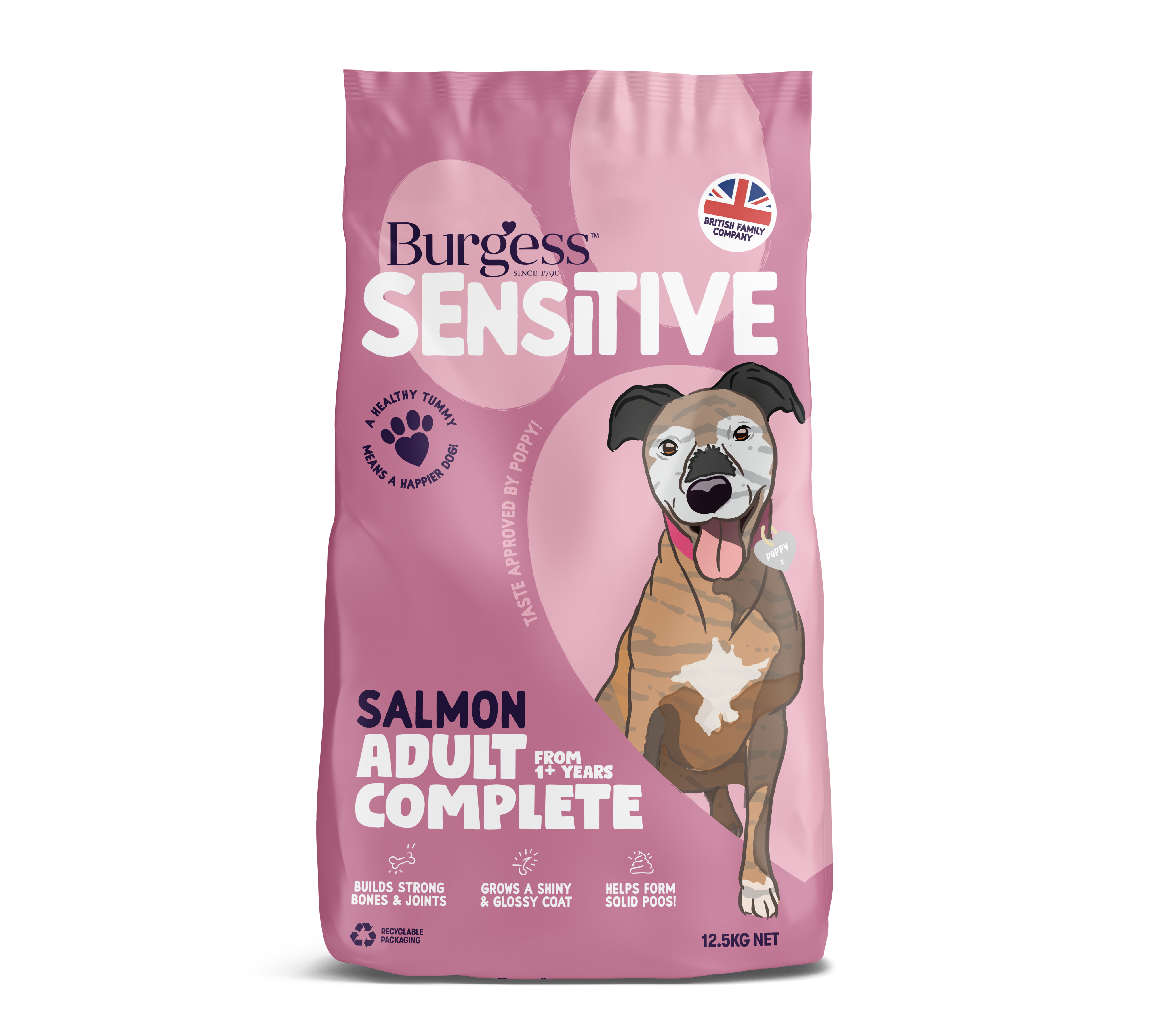 Sensitive Adult Dog Salmon product image