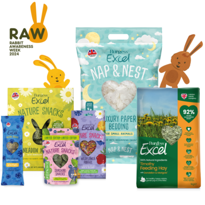 Product image for Excel RAW 2024 Bundle