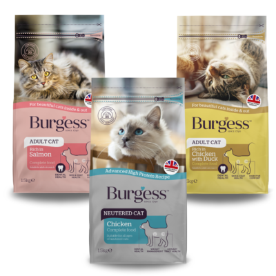 Product image for Adult Cat Bundle