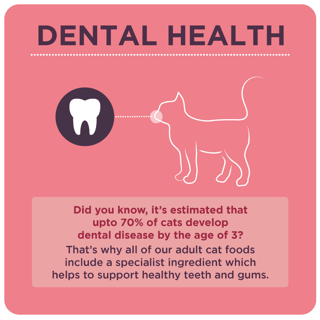 Burgess Mature Cat with Turkey & Cranberry product image