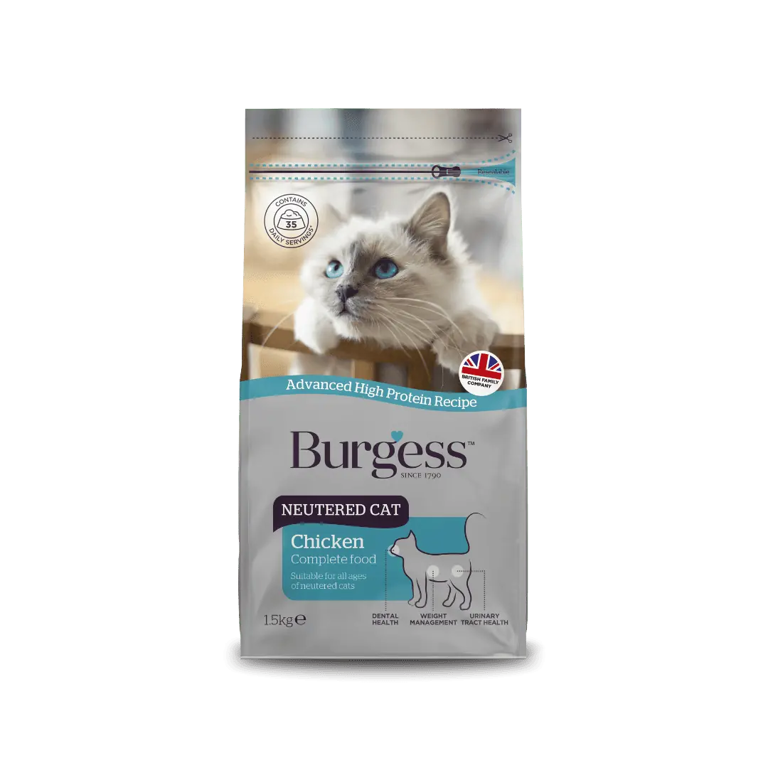 Adult Cat Bundle product image