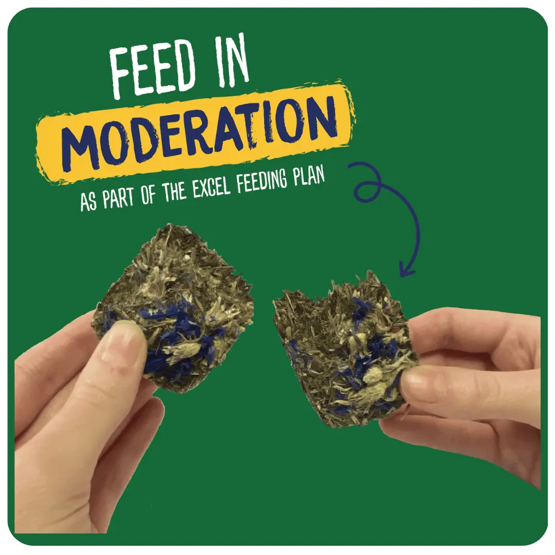 Excel Forage & Feast Hay Bar with Cornflower product image