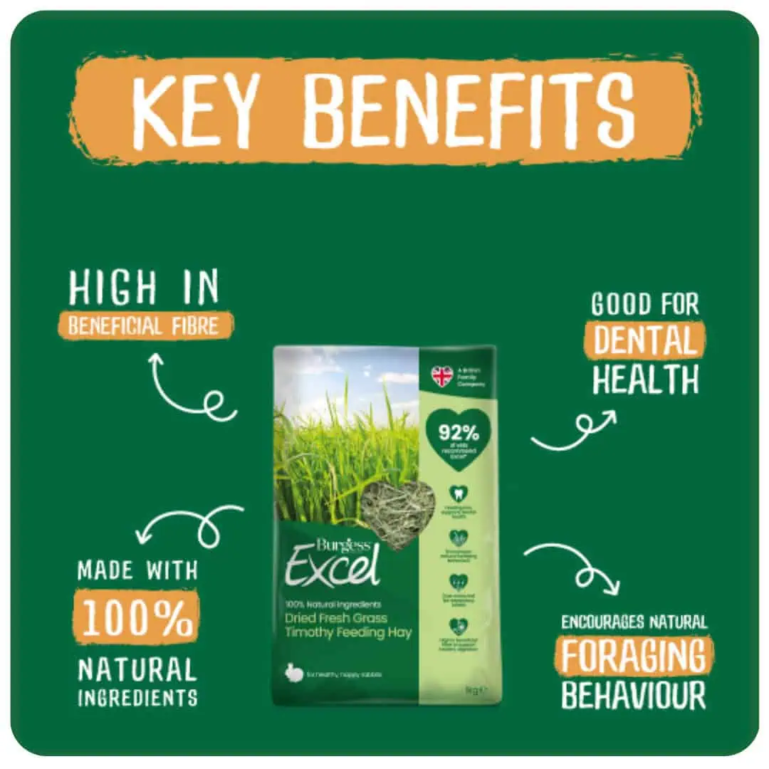 4kg Dried Fresh Grass Bundle product image