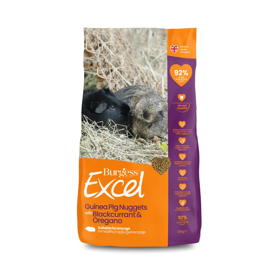 Excel Guinea Pig Nuggets with Blackcurrant & Oregano product image