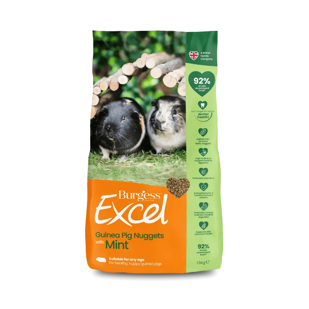 Excel Guinea Pig Nuggets with Mint product image