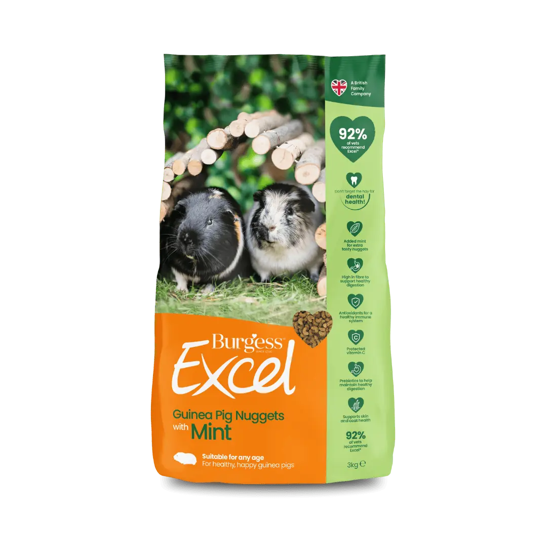 Excel Guinea Pig Nugget with Mint and Hay Bundle product image