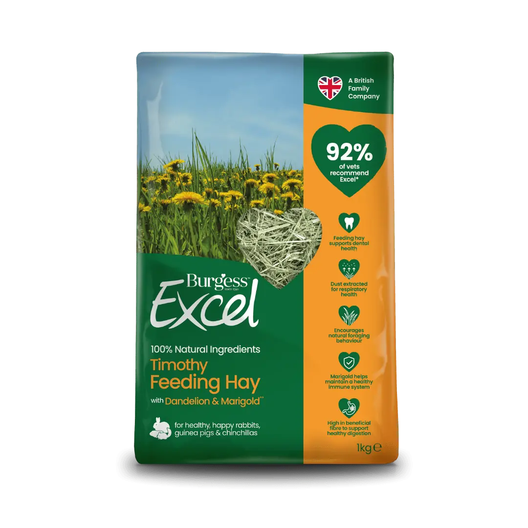 Indoor Rabbit Bundle product image