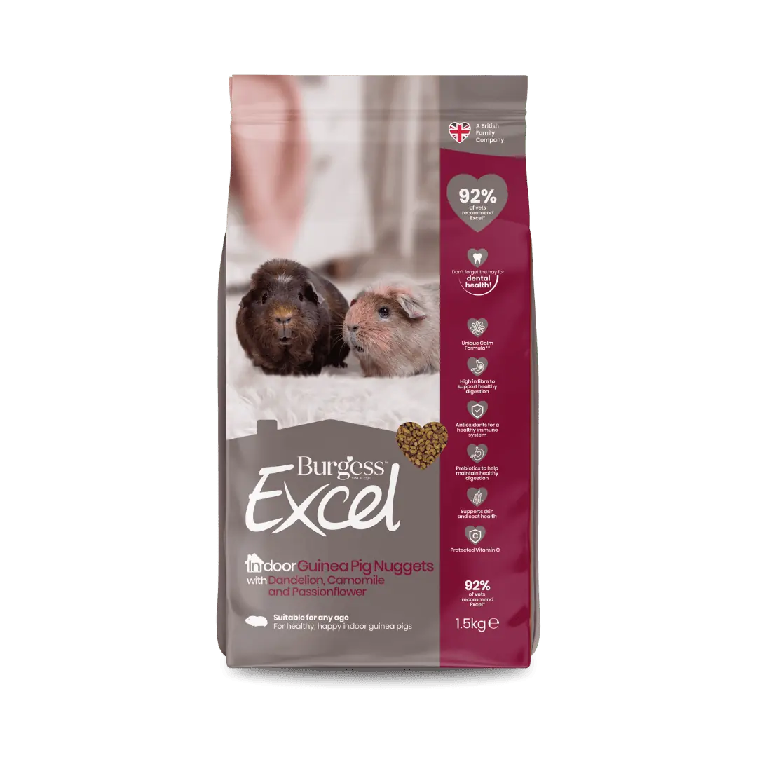 Excel Indoor Guinea Pig Nugget and Dandelion & Marigold Hay Bundle product image