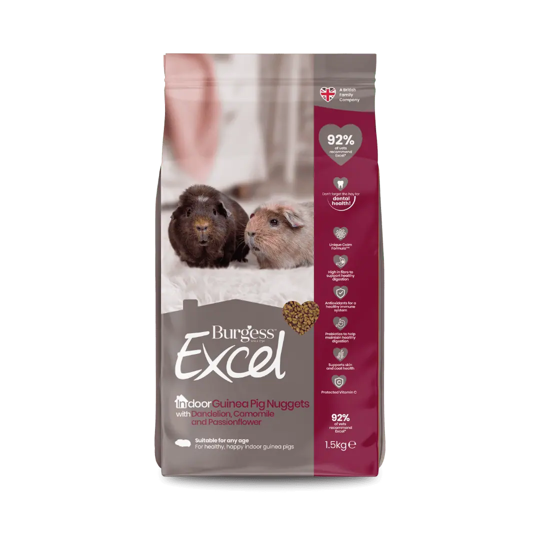 Excel Indoor Guinea Pig Nuggets product image