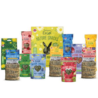 Product image for Excel Treats Selection Box – LIMITED EDITION