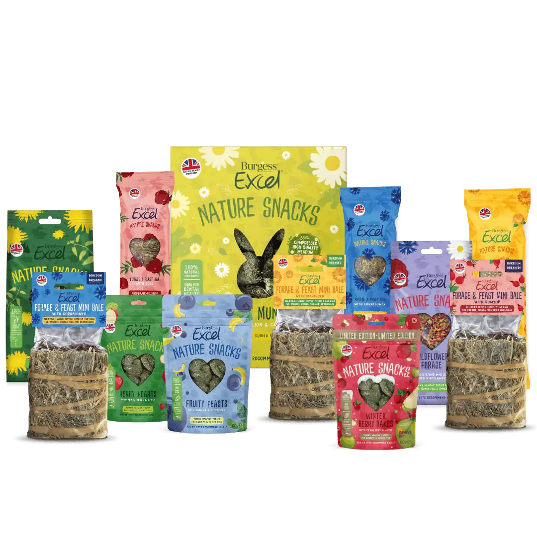 Excel Treats Selection Box – LIMITED EDITION product image