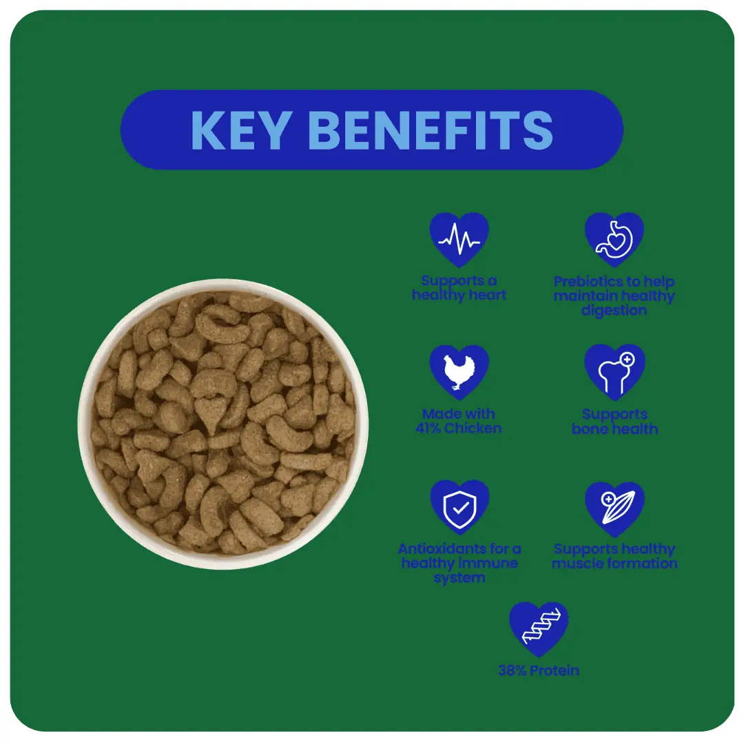 Excel Ferret Nuggets product image