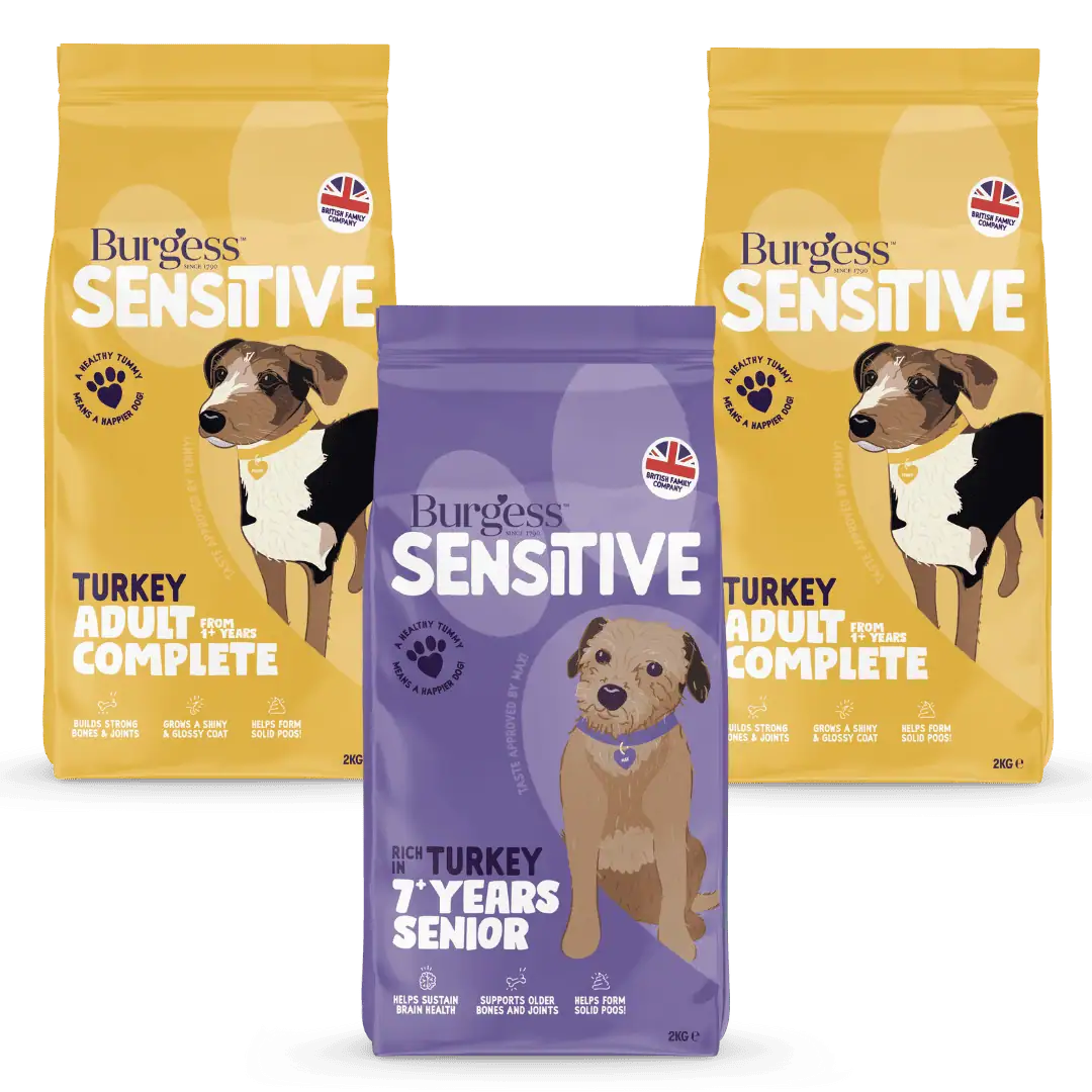 Golden Oldie Sensitive Turkey Bundle product image