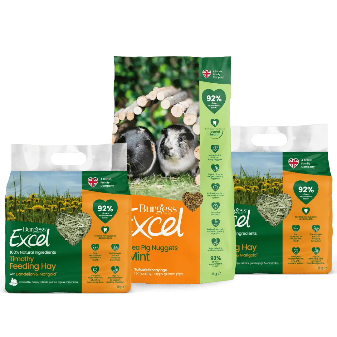 Excel Guinea Pig Nugget with Mint and Hay Bundle product image