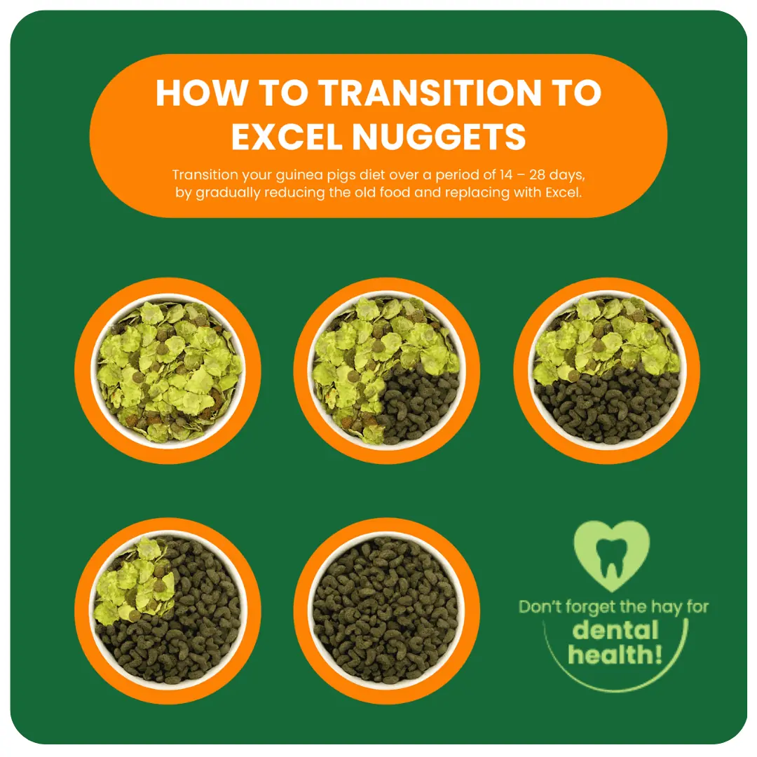 Excel Mature Guinea Pig Nuggets product image