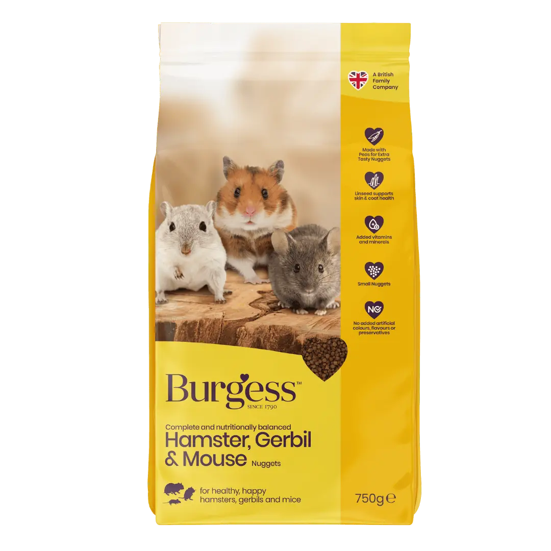 hamster, gerbil and mouse