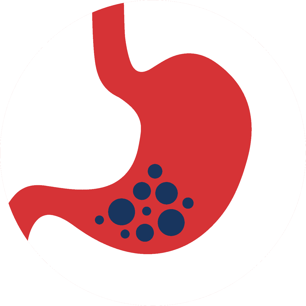 Digestive health support*