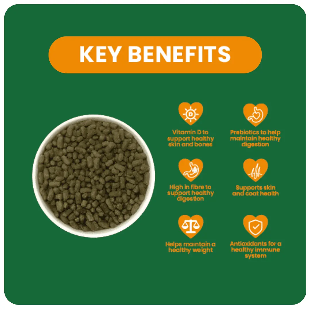 Excel Indoor Rabbit Nugget and Dandelion & Marigold Hay Bundle product image