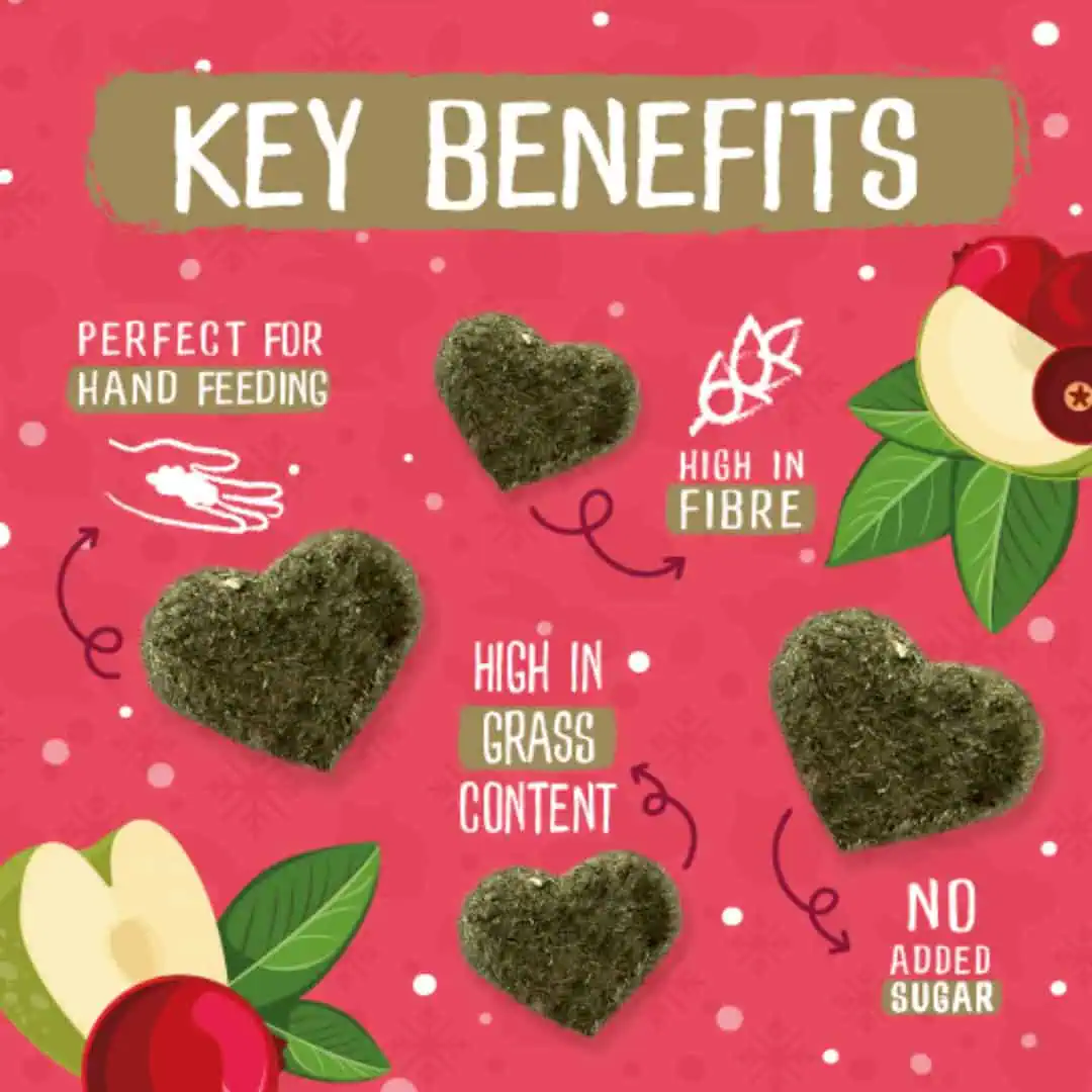 Excel Winter Berry Bakes – LIMITED EDITION product image