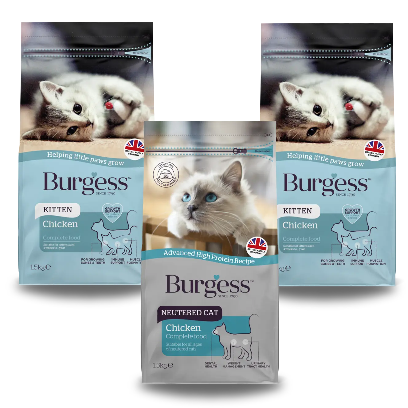 Kitten Bundle product image