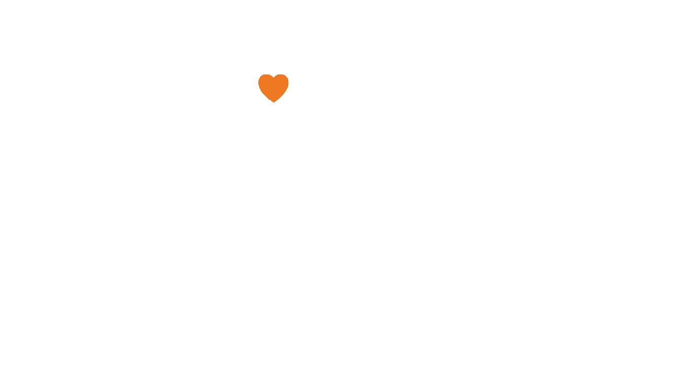 kitten kibble
