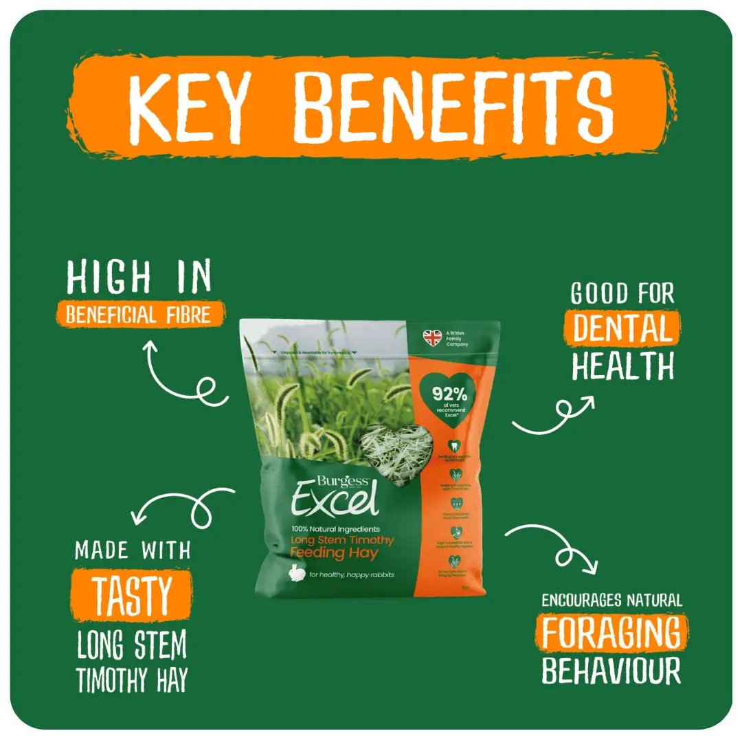 4kg Long Stem Hay Bundle product image