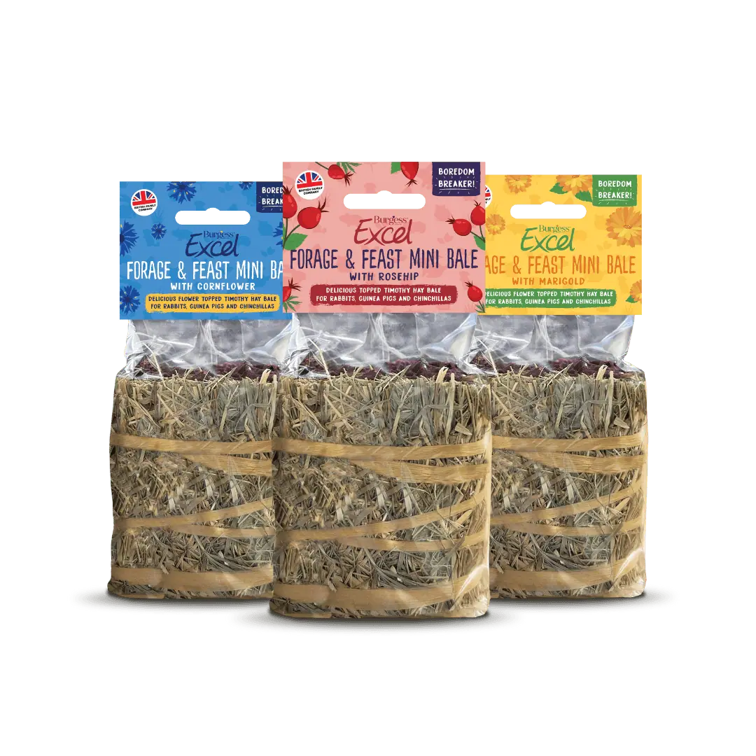 Excel Forage & Feast Mini Bale Bundle product image