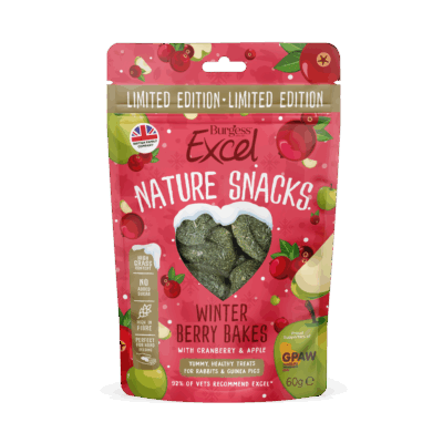 Product image for Excel Winter Berry Bakes – LIMITED EDITION