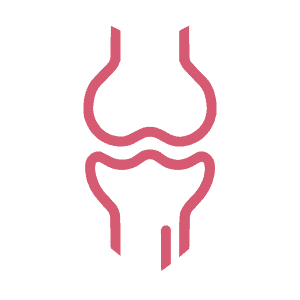 Glucosamine supports healthy joints
