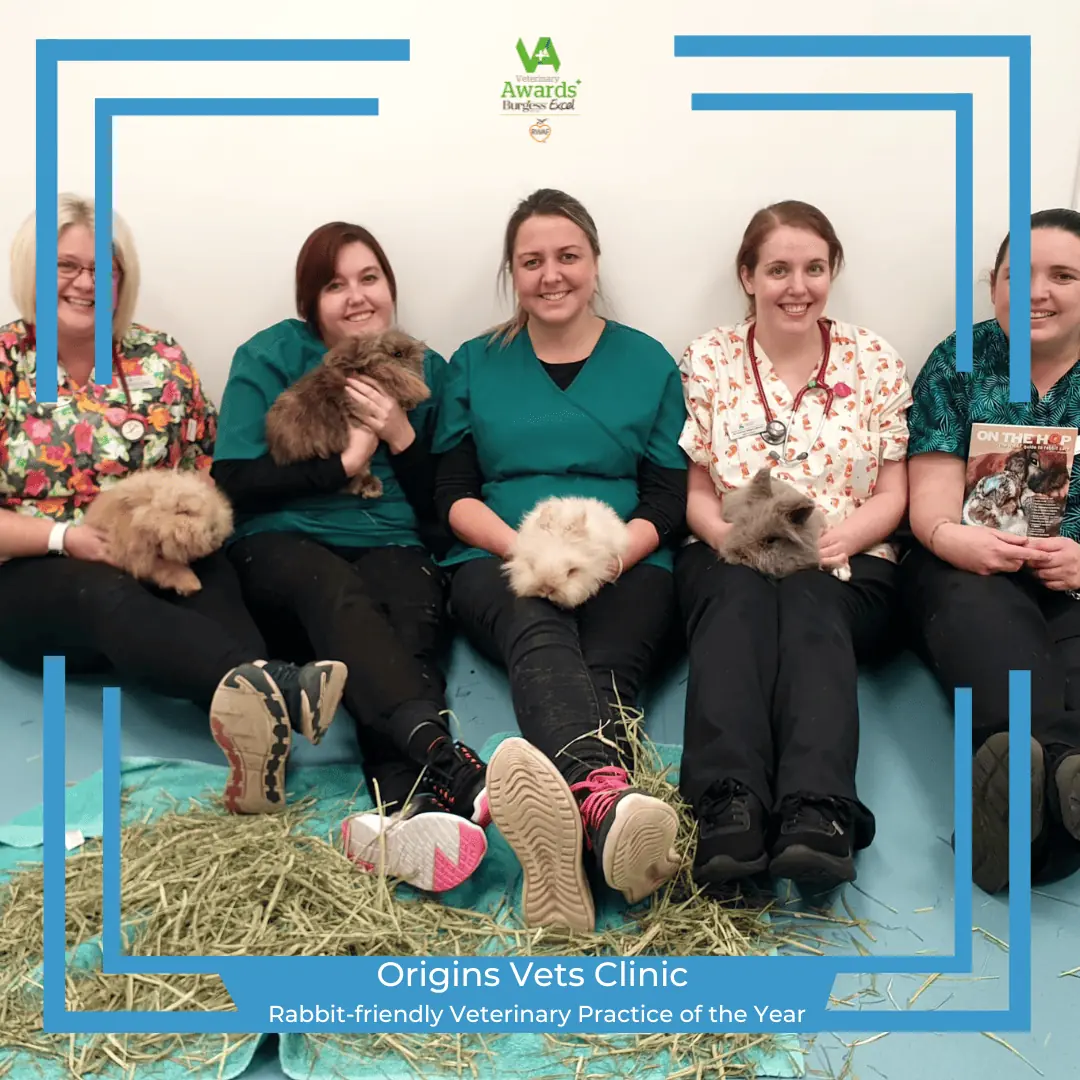 origins vets clinic rabbit friendly veterinary practice of the year