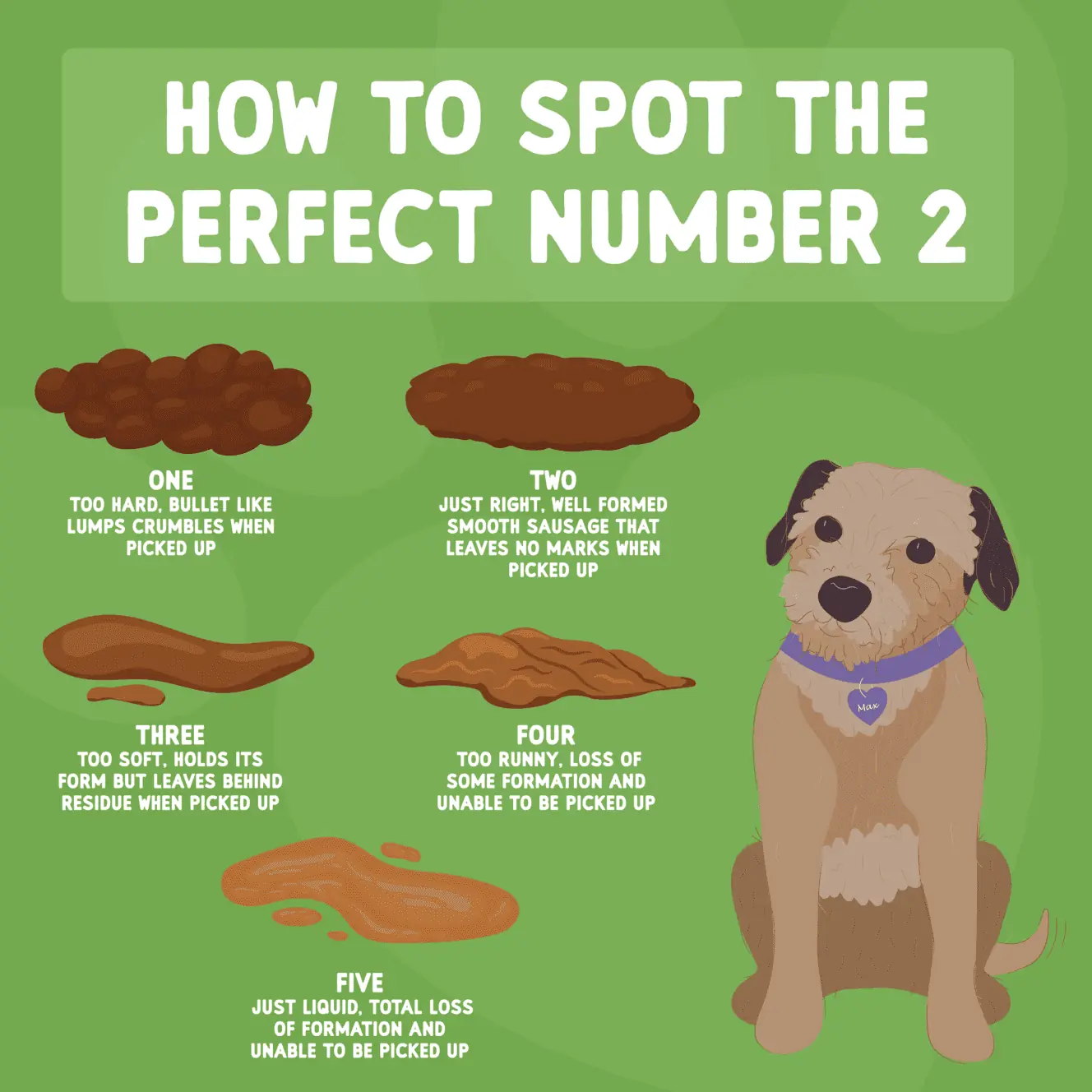 perfect number 2 no logo 01